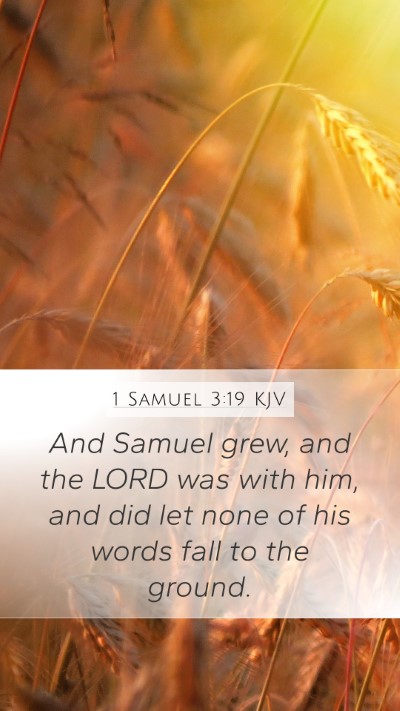 1 Samuel 3:19 KJV Bible Verse Image