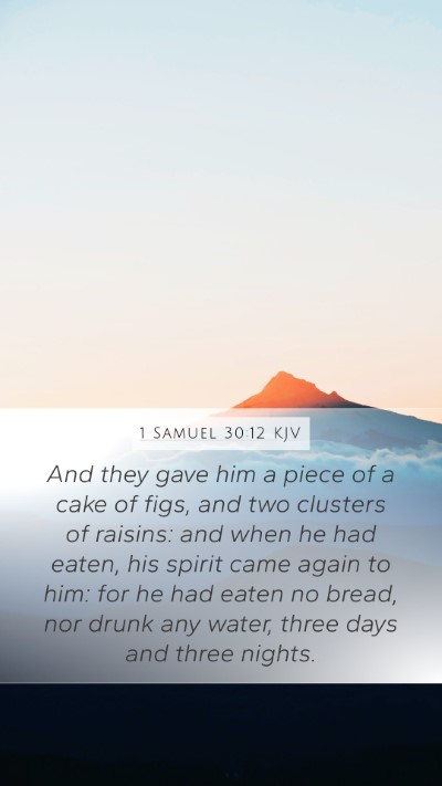 1 Samuel 30:12 KJV Bible Verse Image