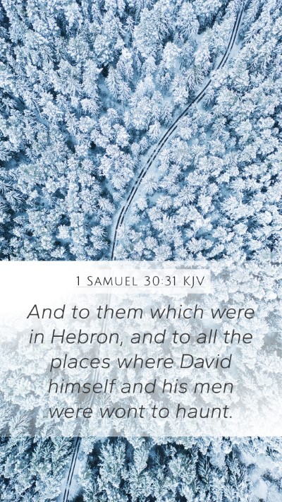 1 Samuel 30:31 KJV Bible Verse Image