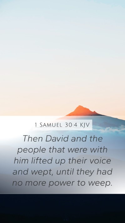 1 Samuel 30:4 KJV Mobile Phone Wallpaper - Then David and the people that were with him - Mobile Bible Verse Wallpaper