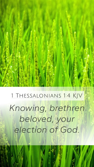 1 Thessalonians 1:4 KJV Mobile Phone Wallpaper - Knowing, brethren beloved, your election of - Mobile Bible Verse Wallpaper