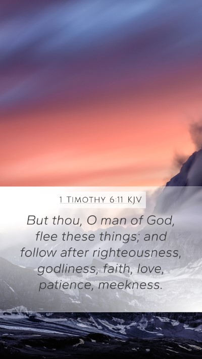 1 Timothy 6:11 KJV Bible Verse Image