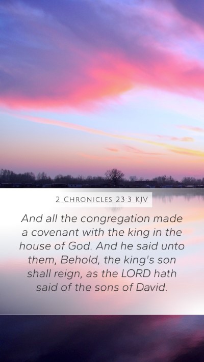 2 Chronicles 23:3 KJV Bible Verse Image