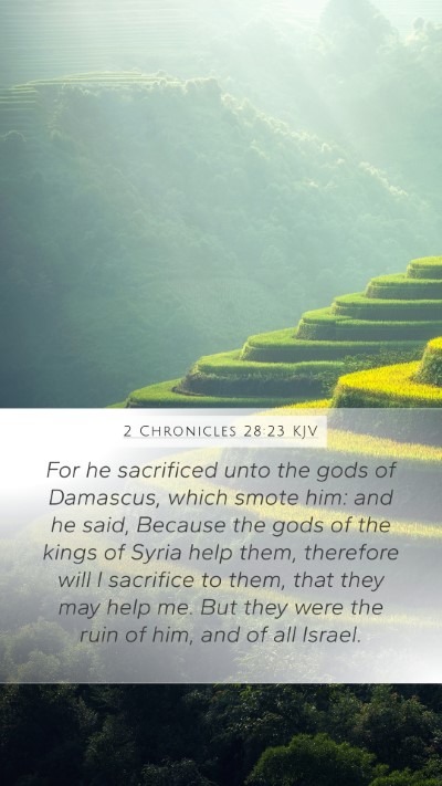 2 Chronicles 28:23 KJV Bible Verse Image