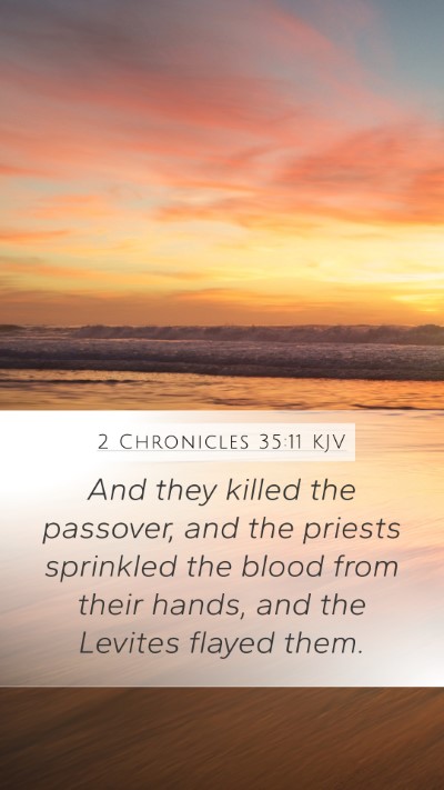 2 Chronicles 35:11 KJV Bible Verse Image