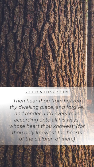 2 Chronicles 6:30 KJV Bible Verse Image