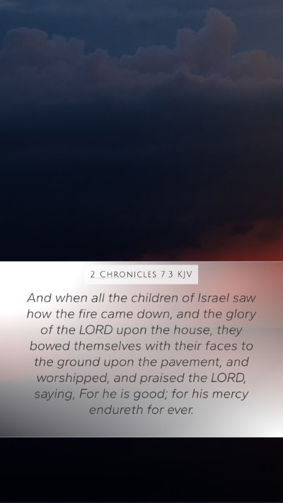 2 Chronicles 7:3 KJV Bible Verse Image