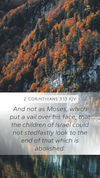 2 Corinthians 3:13 KJV Mobile Phone Wallpaper - And not as Moses, which put a vail over his face, - Mobile Bible Verse Wallpaper