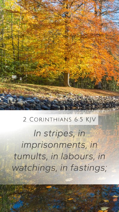 2 Corinthians 6:5 KJV Bible Verse Image