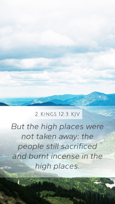 2 Kings 12:3 KJV Bible Verse Image