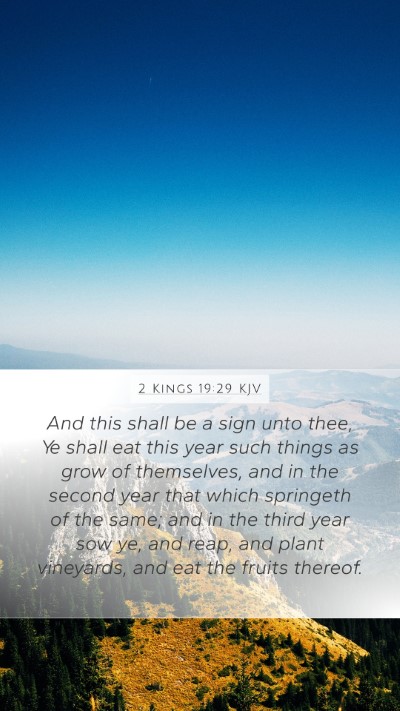 2 Kings 19:29 KJV Bible Verse Image