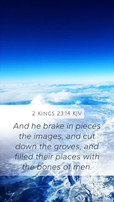 2 Kings 23:14 KJV Bible Verse Image