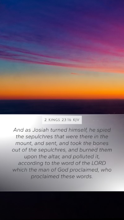 2 Kings 23:16 KJV Bible Verse Image