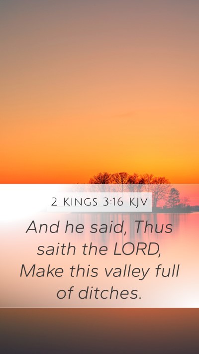 2 Kings 3:16 KJV Bible Verse Image