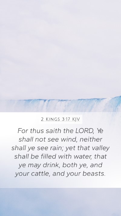 2 Kings 3:17 KJV Bible Verse Image