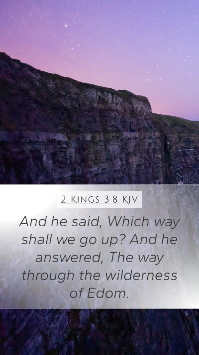 2 Kings 3:8 KJV Mobile Phone Wallpaper - And he said, Which way shall we go up? And he - Mobile Bible Verse Wallpaper