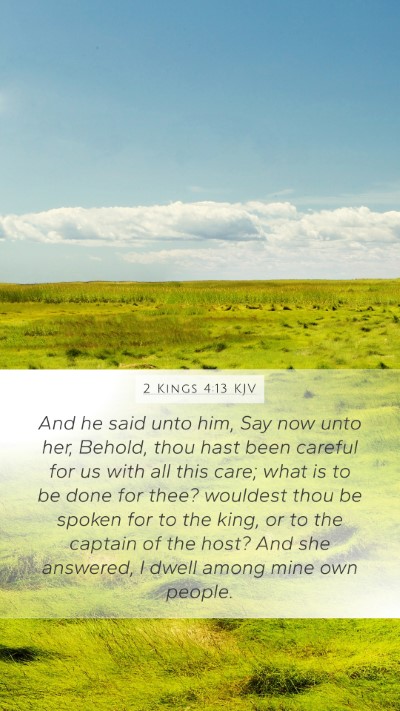 2 Kings 4:13 KJV Bible Verse Image
