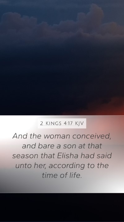 2 Kings 4:17 KJV Mobile Phone Wallpaper - And the woman conceived, and bare a son at that - Mobile Bible Verse Wallpaper