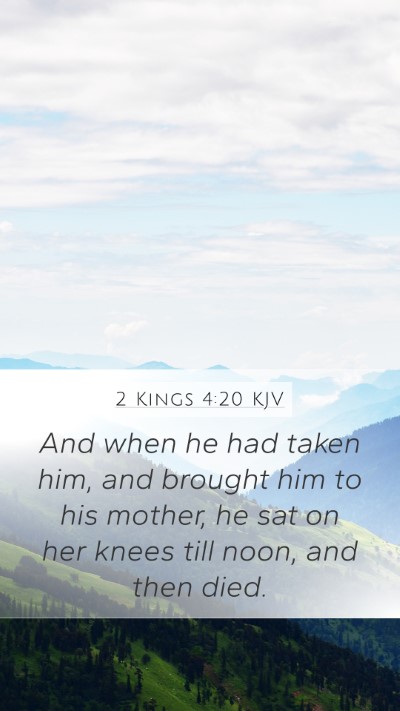 2 Kings 4:20 KJV Bible Verse Image