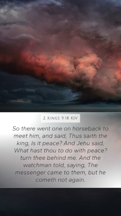 2 Kings 9:18 KJV Bible Verse Image