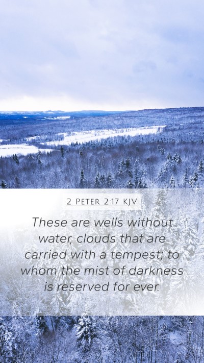 2 Peter 2:17 KJV Bible Verse Image