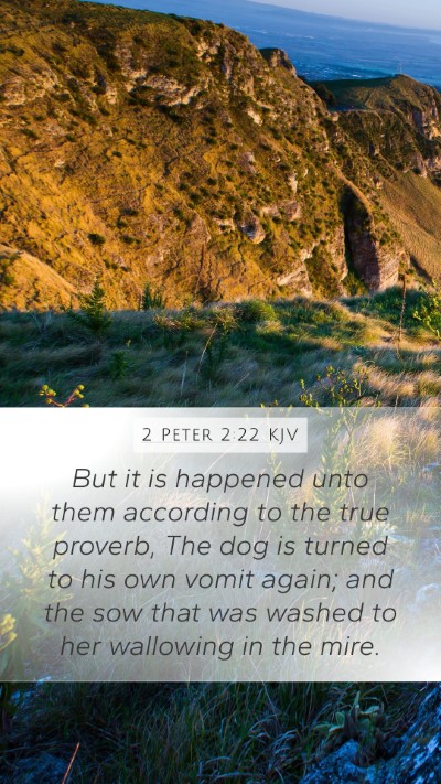 2 Peter 2:22 KJV Bible Verse Image