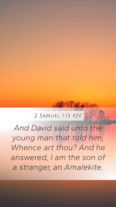 2 Samuel 1:13 KJV Mobile Phone Wallpaper - And David said unto the young man that told him, - Mobile Bible Verse Wallpaper