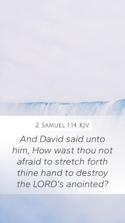 2 Samuel 1:14 KJV Mobile Phone Wallpaper - And David said unto him, How wast thou not afraid - Mobile Bible Verse Wallpaper