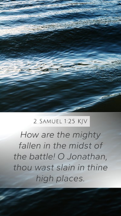 2 Samuel 1:25 KJV Bible Verse Image