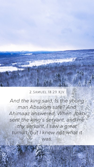 2 Samuel 18:29 KJV Bible Verse Image