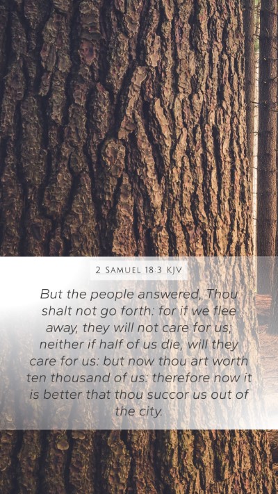 2 Samuel 18:3 KJV Bible Verse Image