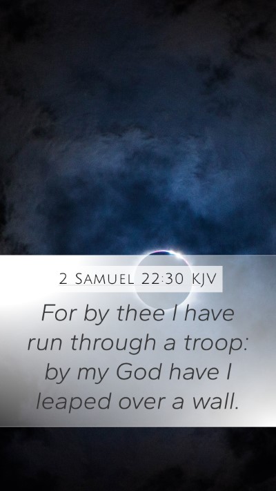 2 Samuel 22:30 KJV Bible Verse Image