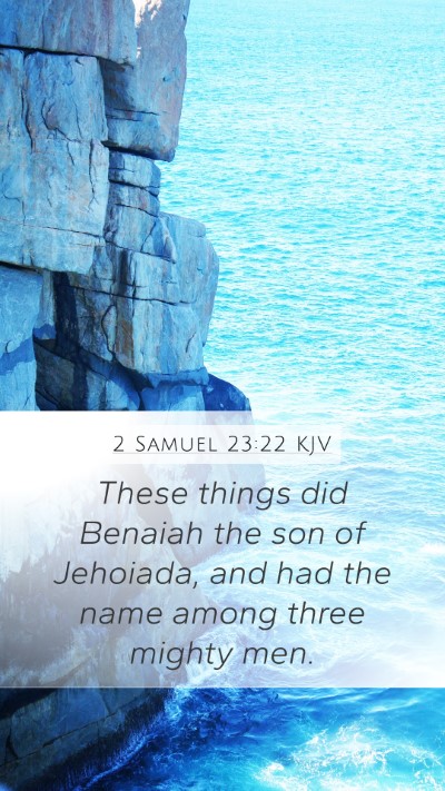 2 Samuel 23:22 KJV Bible Verse Image