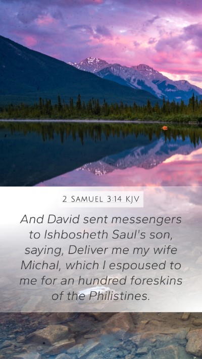 2 Samuel 3:14 KJV Bible Verse Image
