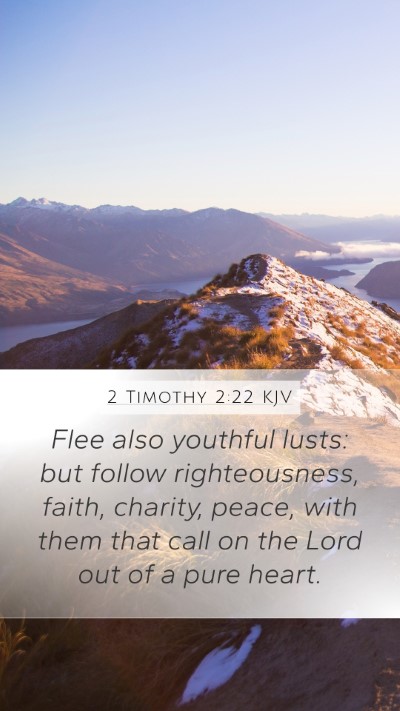 2 Timothy 2:22 KJV Bible Verse Image