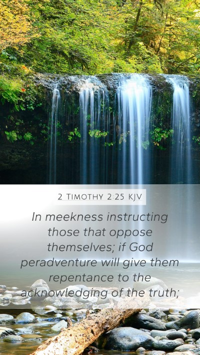 2 Timothy 2:25 KJV Bible Verse Image