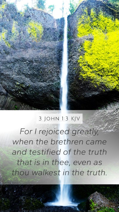 3 John 1:3 KJV Bible Verse Image
