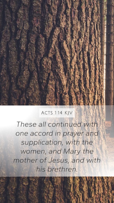 Acts 1:14 KJV Bible Verse Image