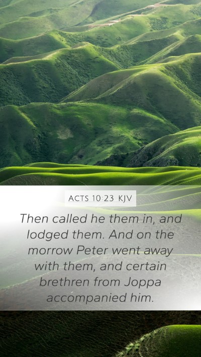 Acts 10:23 KJV Bible Verse Image