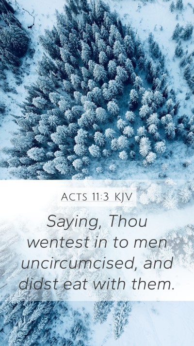 Acts 11:3 KJV Bible Verse Image