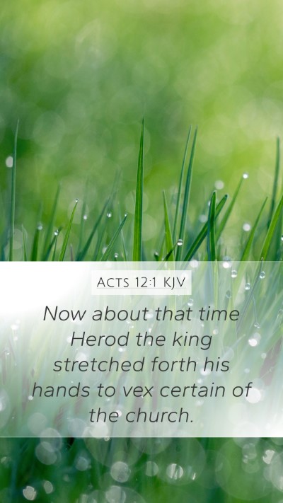 Acts 12:1 KJV Mobile Phone Wallpaper - Now about that time Herod the king stretched - Mobile Bible Verse Wallpaper