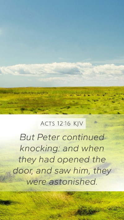 Acts 12:16 KJV Mobile Phone Wallpaper - But Peter continued knocking: and when they had - Mobile Bible Verse Wallpaper
