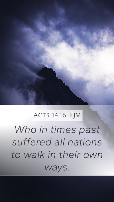 Acts 14:16 KJV Bible Verse Image