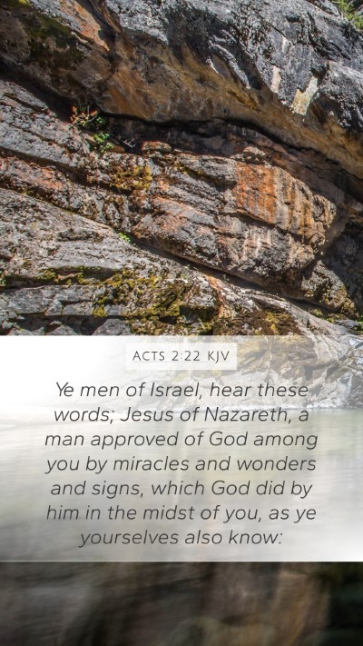 Acts 2:22 KJV Bible Verse Image