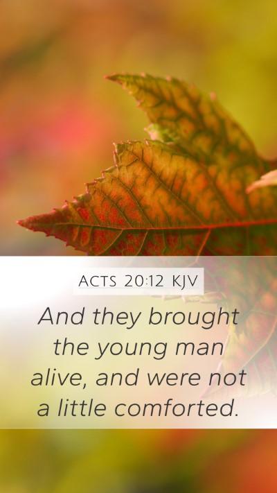 Acts 20:12 KJV Bible Verse Image