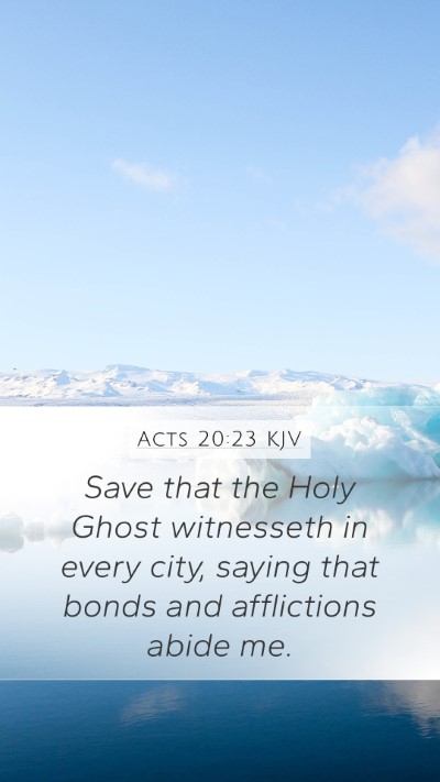 Acts 20:23 KJV Bible Verse Image
