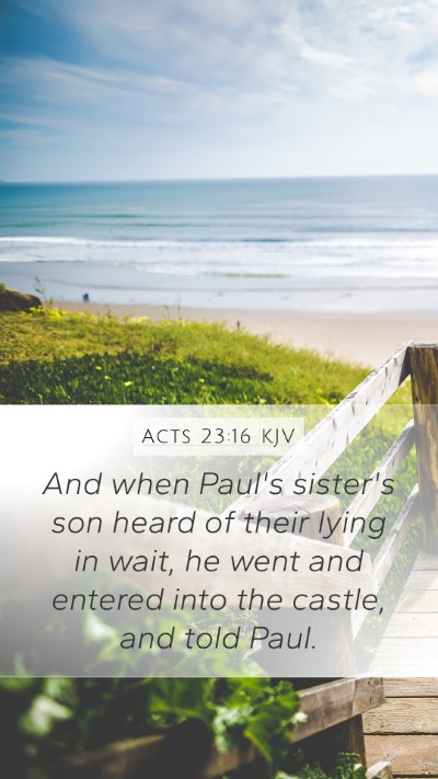 Acts 23:16 KJV Bible Verse Image
