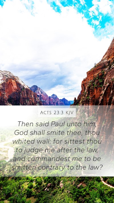 Acts 23:3 KJV Bible Verse Image