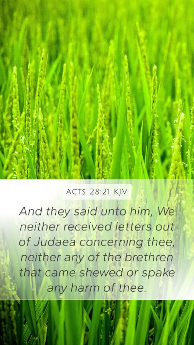 Acts 28:21 KJV Bible Verse Image