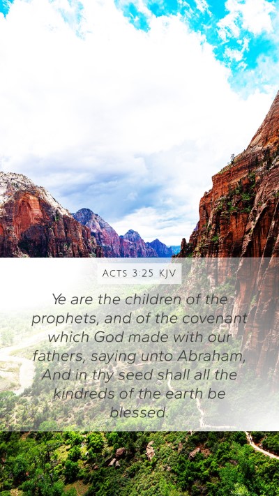 Acts 3:25 KJV Bible Verse Image